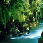 glacier waters (New Zealand)